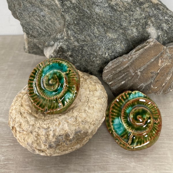 Ammonite  Imprint earrings