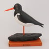 Oystercatcher