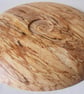Spalted Birch Platter 160 - Image 4