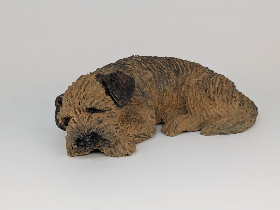 Large Sleeping Border Terrier 2