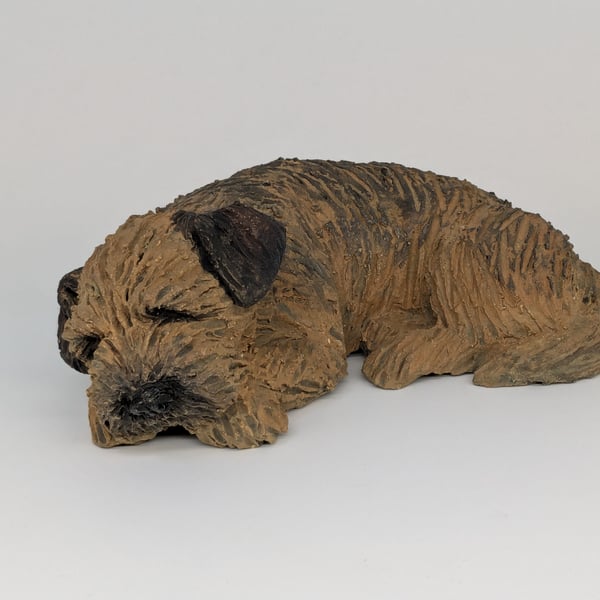 Large Sleeping Border Terrier 2