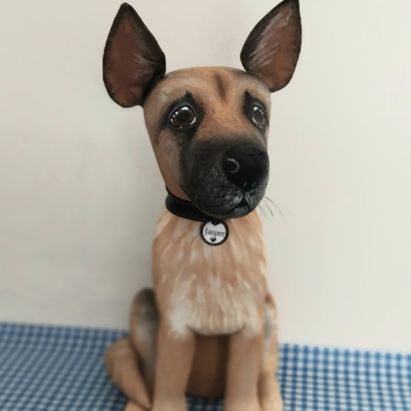 German Shepard 