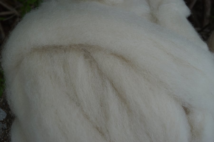 Washed carded white Organic Wool Fibre for Spinning, Felting, Dying & Fibre Art.