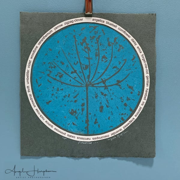 Lino Print of Agapanthus Seedhead on Khadi Paper - A-Z Wild Flower Roundel