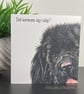 Newfoundland Card; Birthday, Blank or personalised Newfie dog art card. - Image 7