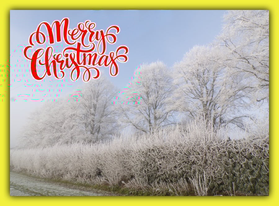 Merry Christmas greeting Card A5 Trees Frosty Norfolk 