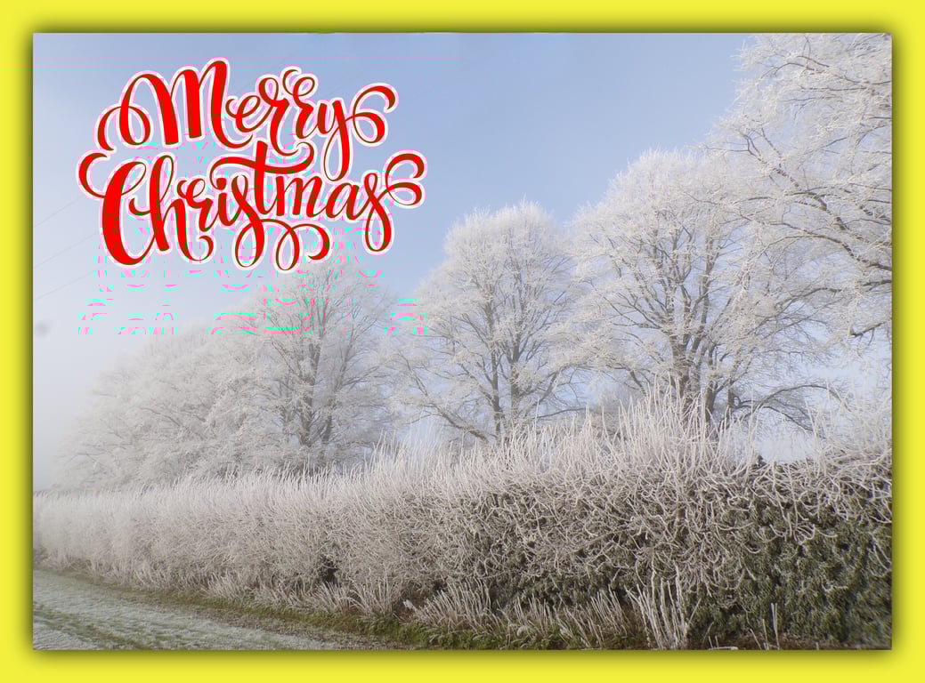 Merry Christmas greeting Card A5 Trees Frosty Norfolk 