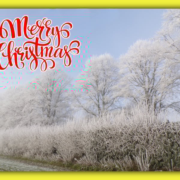 Merry Christmas greeting Card A5 Trees Frosty Norfolk 