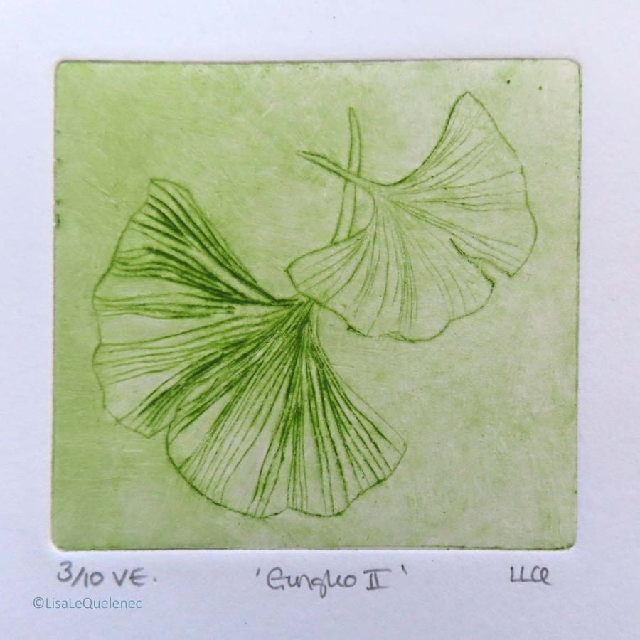 Gingko II drypoint no.3 of 10 signs of spring small scale print