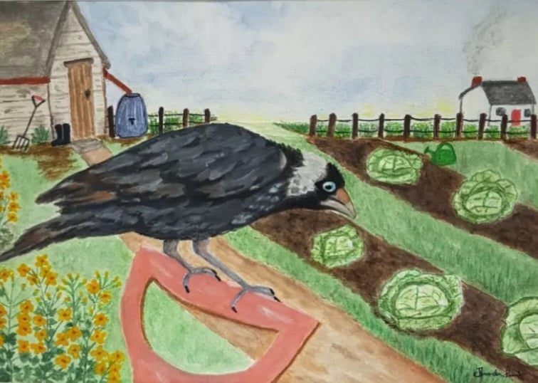Jimmy Jackdaw's Travels- Nostalgic Wildlife Bird Art Print.