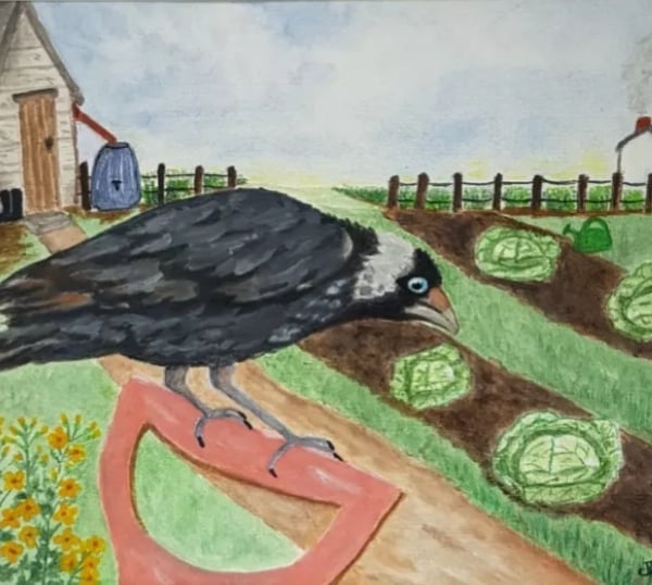 Jimmy Jackdaw's Travels- Nostalgic Wildlife Bird Art Print.