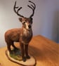 Highland stag needle felted home decoration.