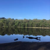 A Greener Way of Living