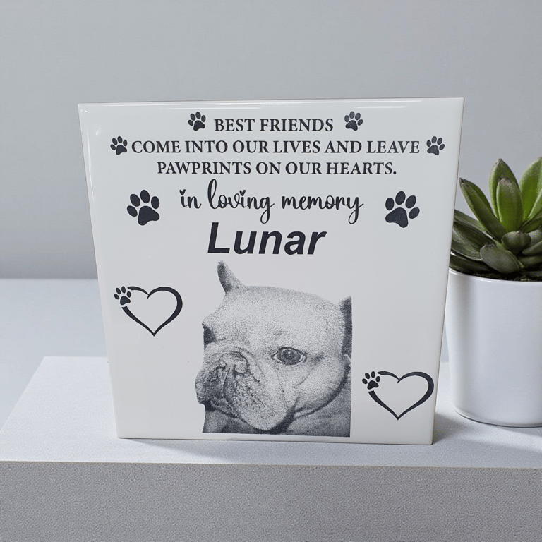 Custom Pet Remembrance Engraved Ceramic Tile 