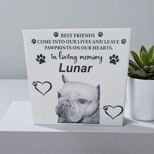 Custom Pet Remembrance Engraved Ceramic Tile 
