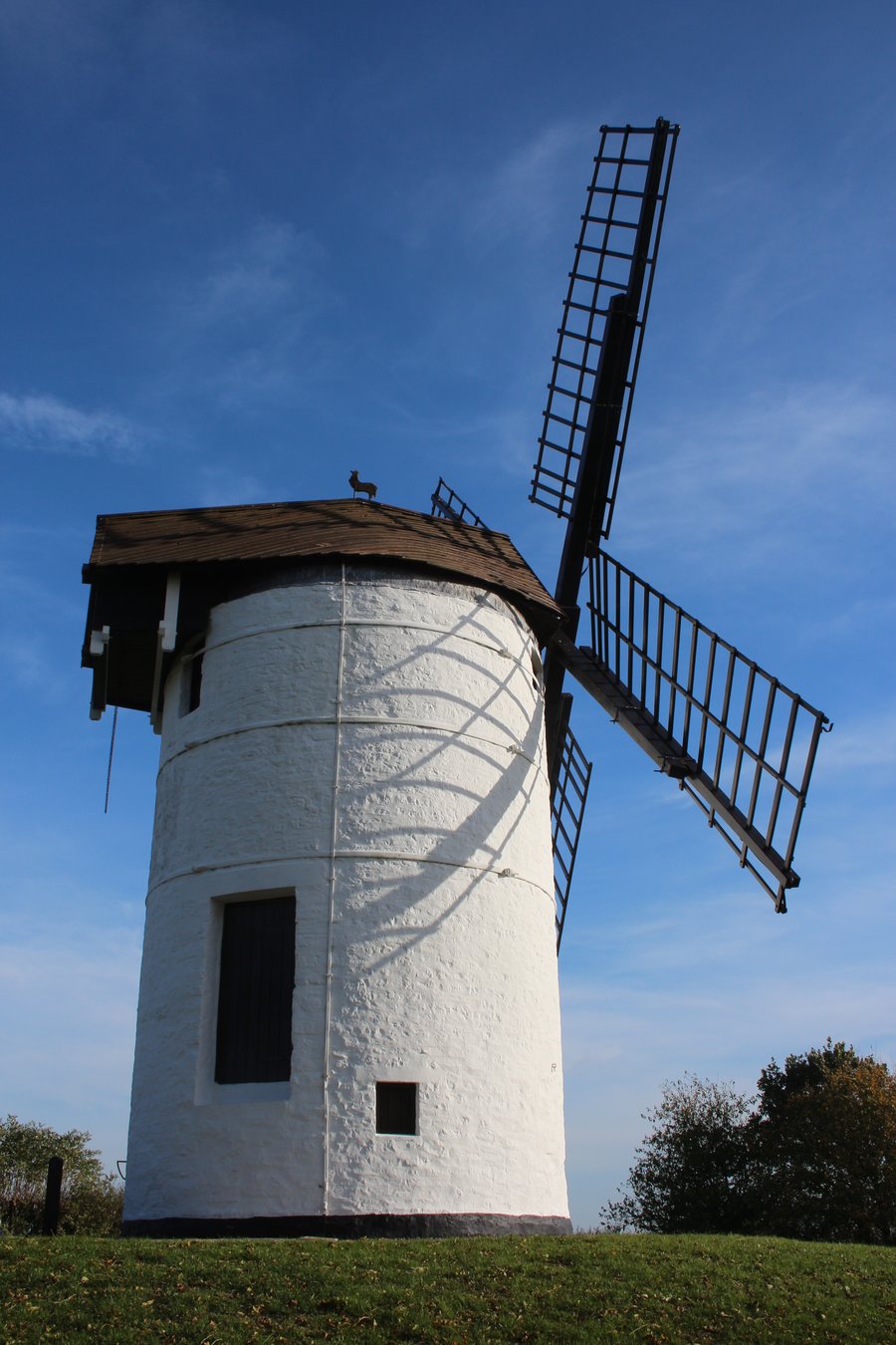 Portrait photo of Ashton Windmill on a textured card.