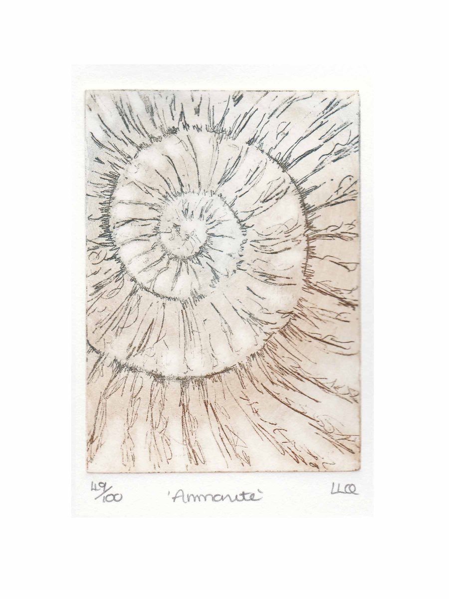 Etching no.49 of an ammonite fossil in an edition of 100