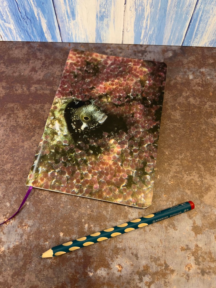 Notebook, Marine themed, A5 (ish), made from up-cycled and recycled materials.