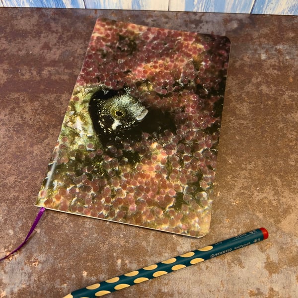 Notebook, Marine themed, A5 (ish), made from up-cycled and recycled materials.
