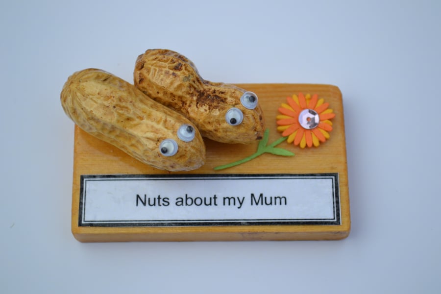 Nutty Gift - Mum