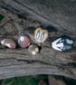 5 hand-painted pebble pets in a box - Image 6