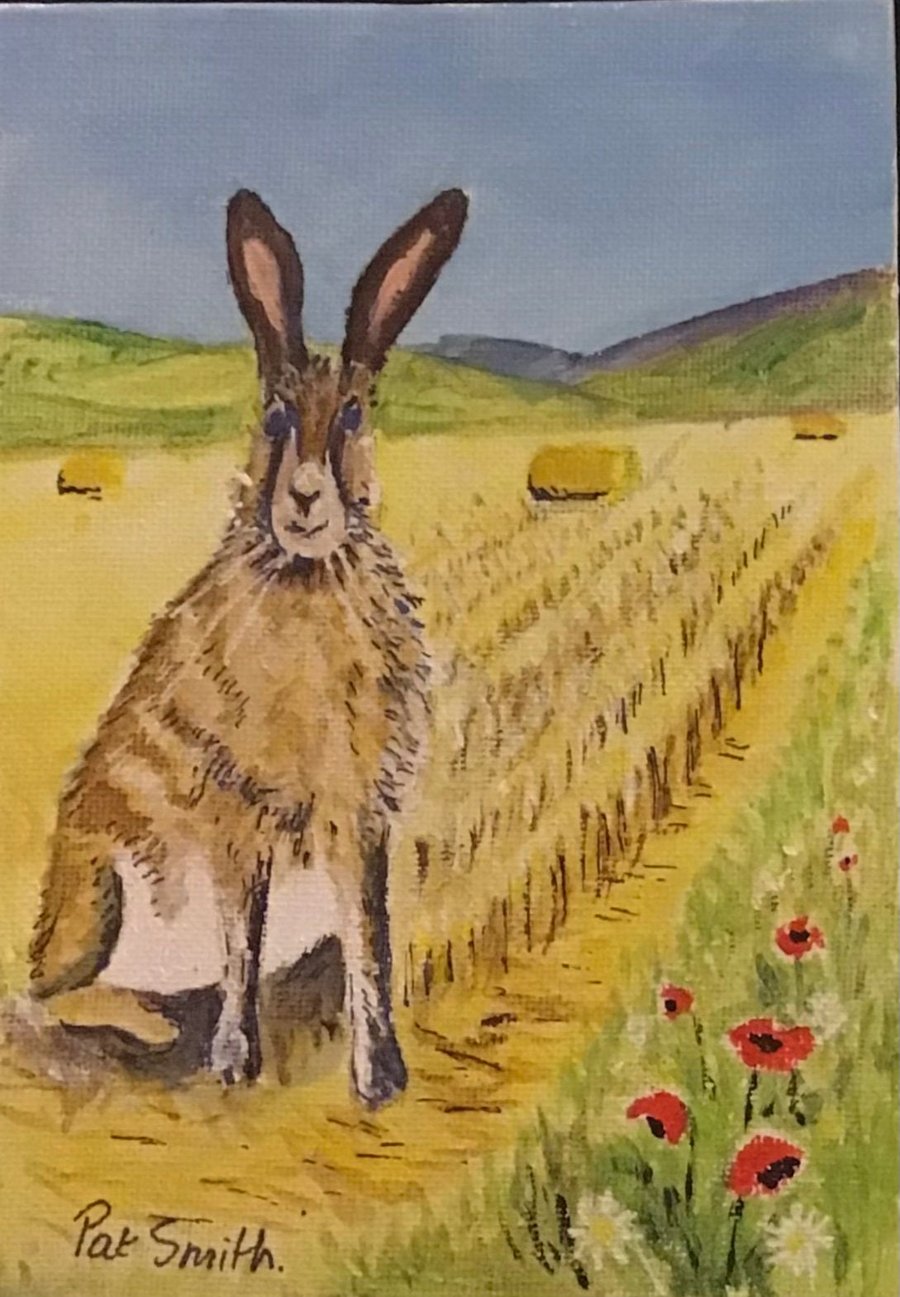 Original Acrylic Painting, 7” x 5”, Hare in a Cornfield, unframed. 