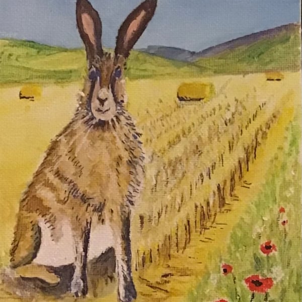 Original Acrylic Painting, 7” x 5”, Hare in a Cornfield, unframed. 
