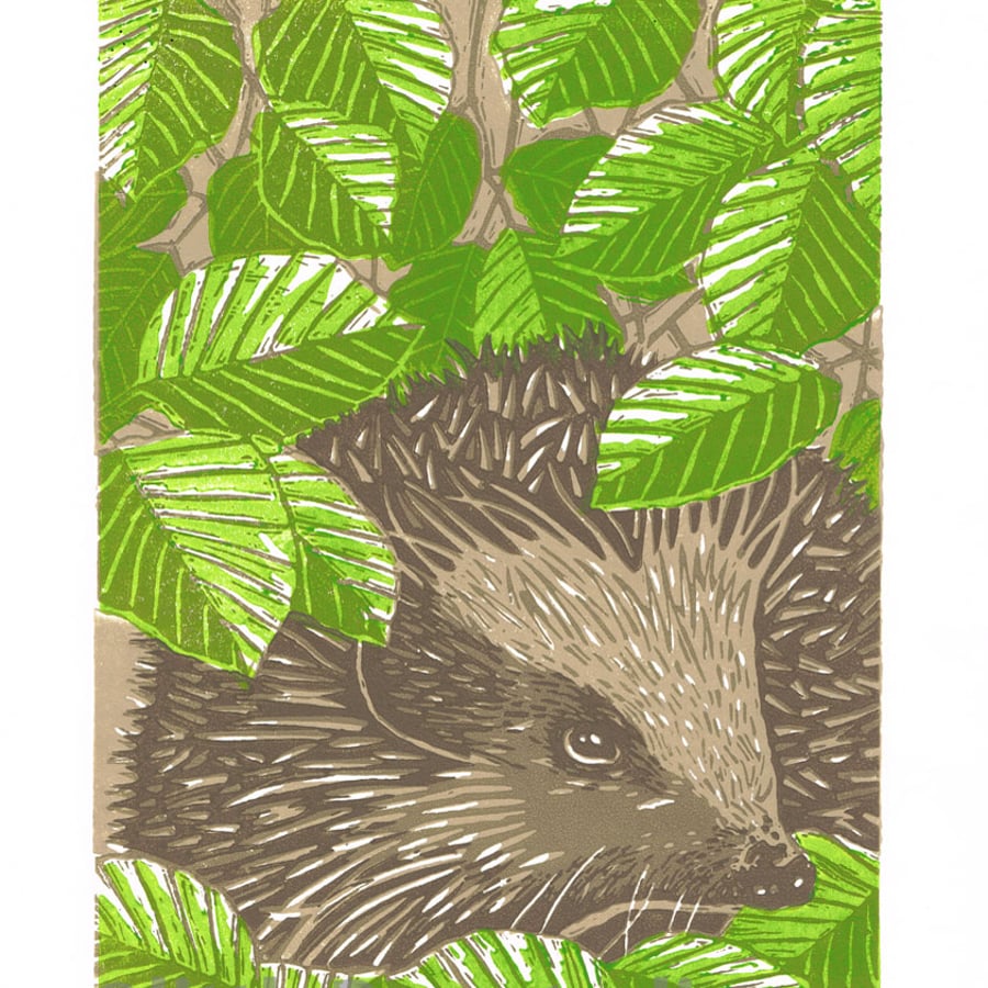 Hedgehog, Spring - Limited Edition Linocut Print