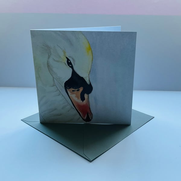 Swan 