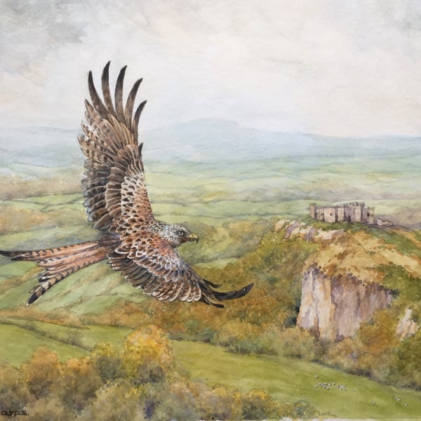 Red Kite over Carreg Cennen. Original watercolour by Christopher Hughes 