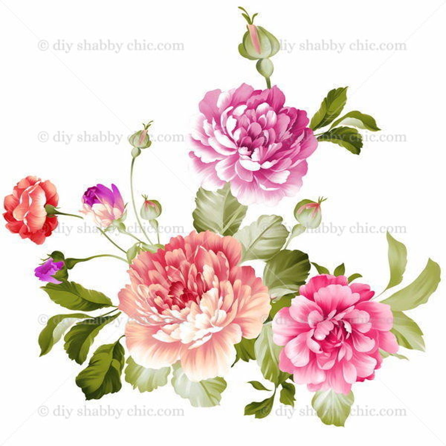 Waterslide Wood Furniture Decal Vintage Image Transfer Shabby Chic Peony Flowers
