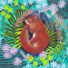 Sleepy Squirrel Original Mixed Media Animal Art Painting 