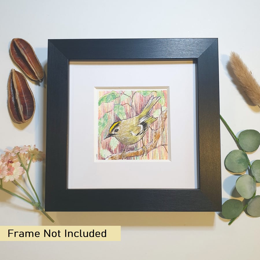 Goldcrest original art miniature, bird drawing, artwork
