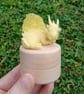 Buttercup Dragon Trinket Box - Image 6