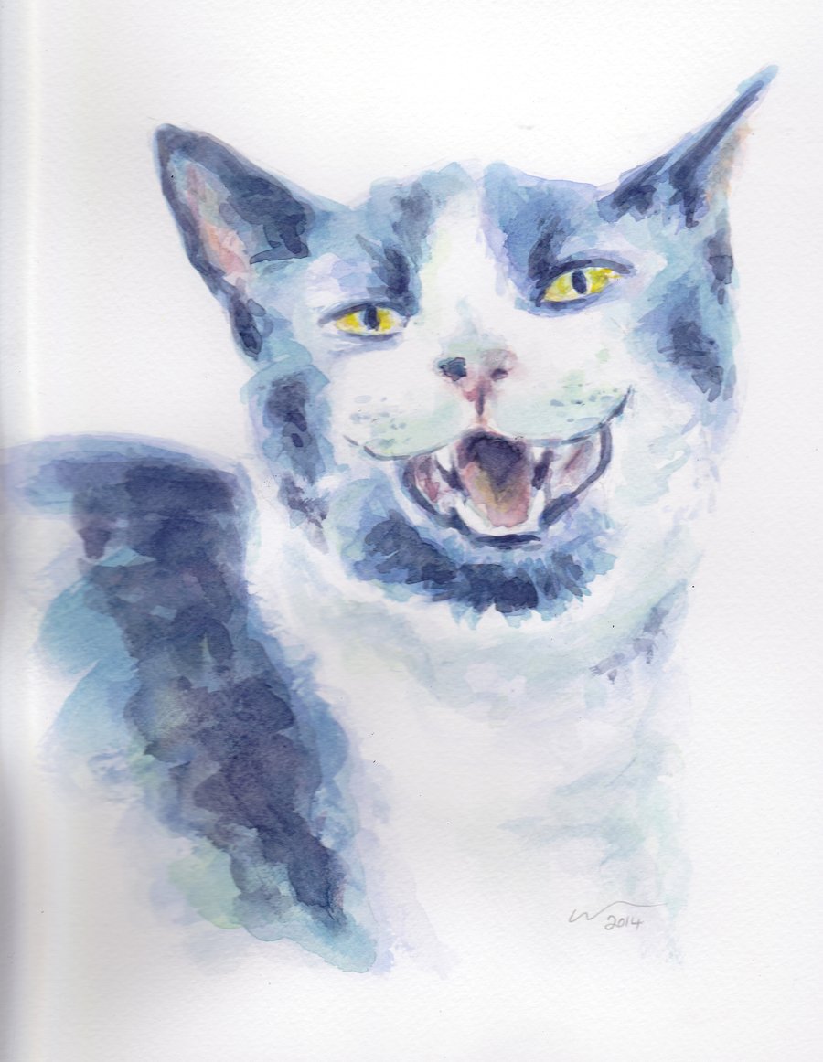 Laughing Cat Art Watercolour Animal Original Painting