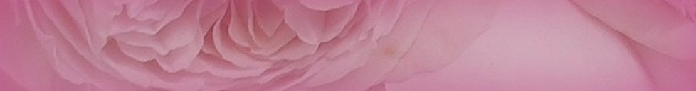 Violette & Rose Fabrics