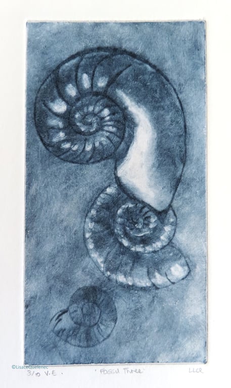 Three ammonite fossils original indigo drypoint print printmaking etching no.3