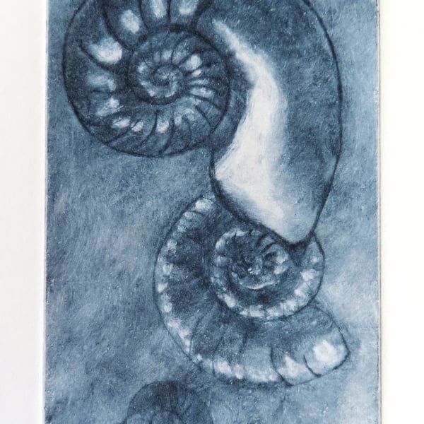 Three ammonite fossils original indigo drypoint print printmaking etching no.3