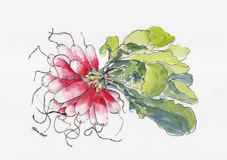 French radishes print