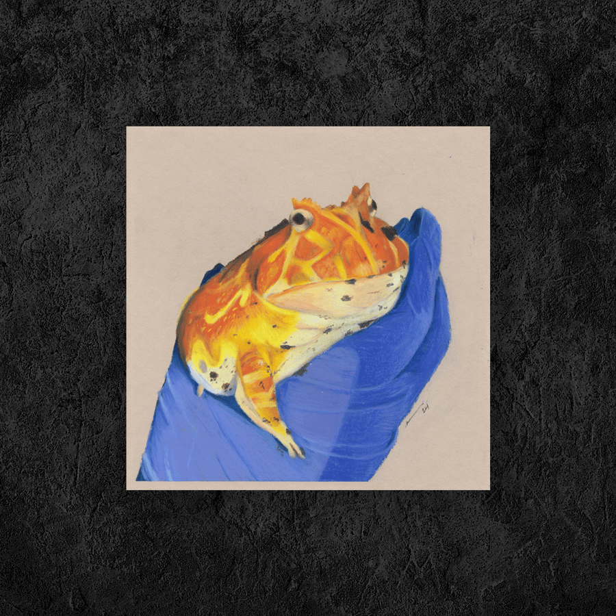 "Bathtub" Orange Pacman Frog Painting, Original Artwork, 21x21cm, Unmounted