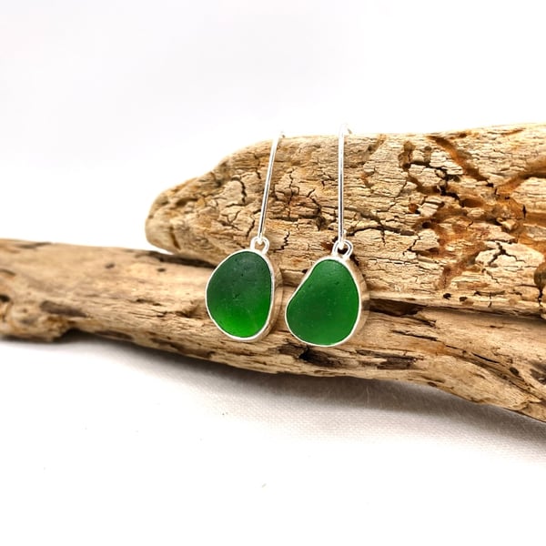 Dark Green Sea Glass Earrings