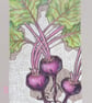 Beetroot original artwork, kitchen wall art, beets drawing, kitchen decor - Image 6