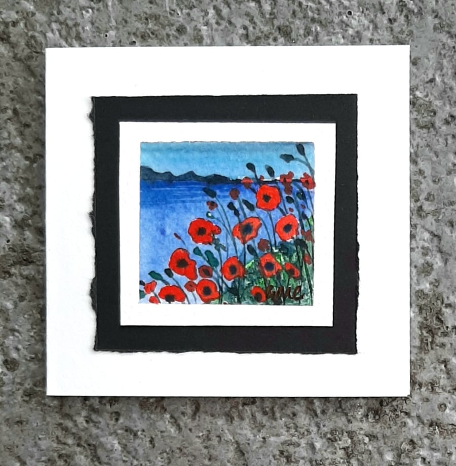 Beautiful Blank Miniature Handpainted Card Of Poppies On The Shore Poppy Flowers