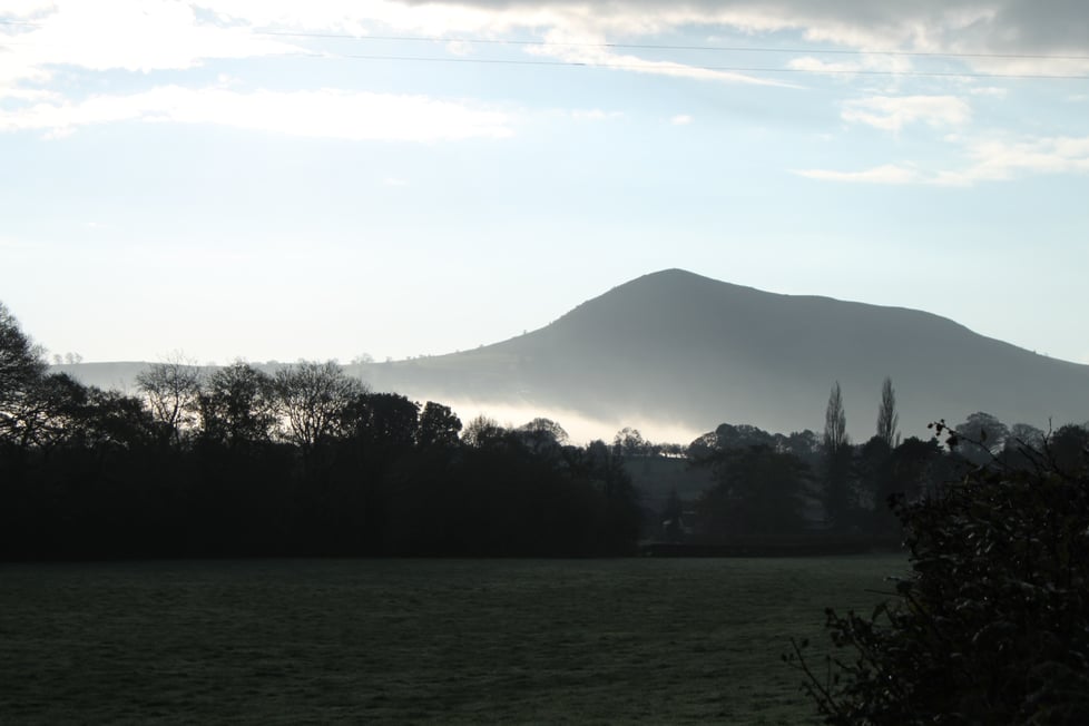 Black Mountain Cushions