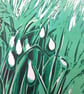 Snowdrops - Image 5