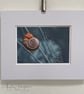 Embroidered Photograph - Mounted Picture - Snail in Normandy France - Image 2