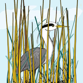 Heron in reeds. Signed print. Digital illustration. Birds. Wildlife