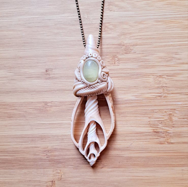 Coquille Amazonite Shell Hoop