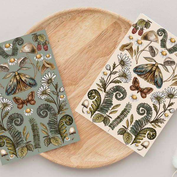 Woodland  Greeting Cards Moth and Mushroom