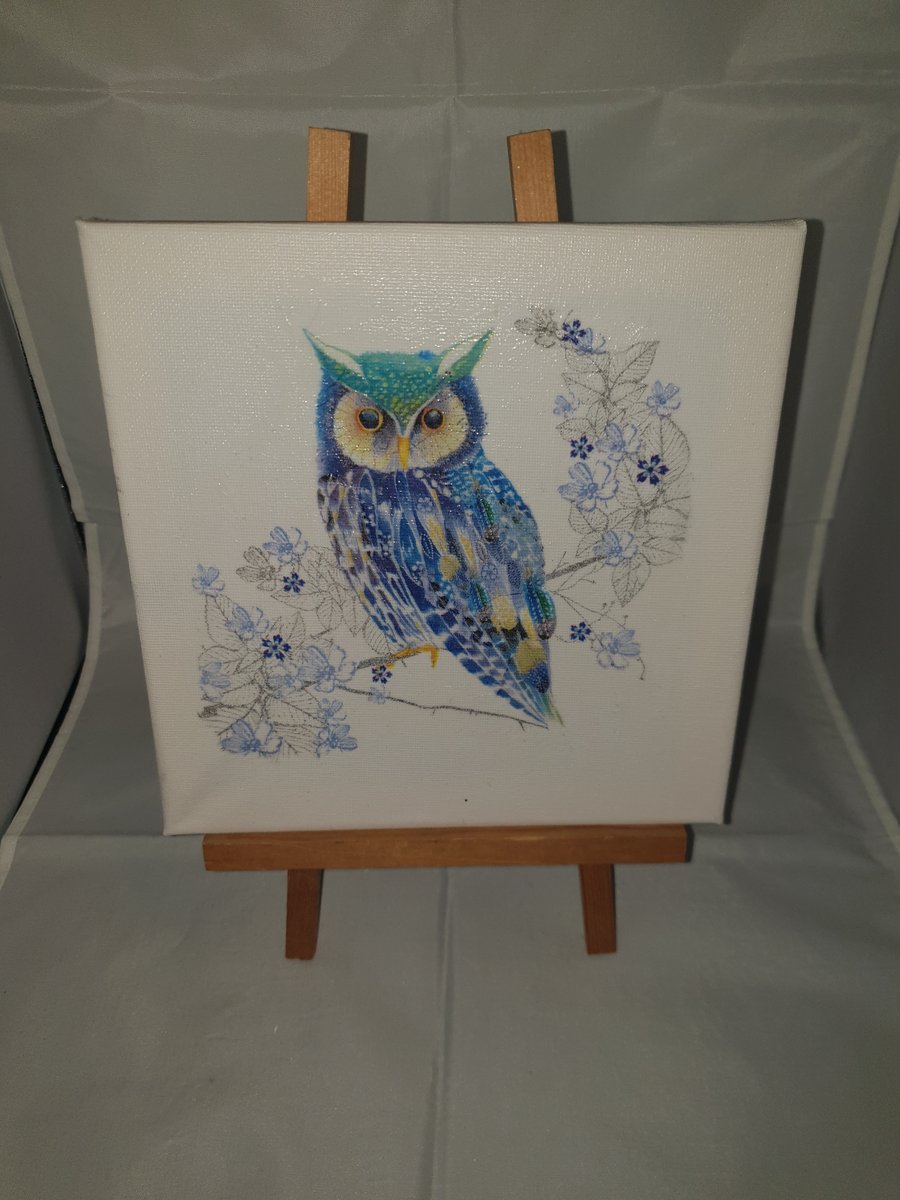 Owl canvas 